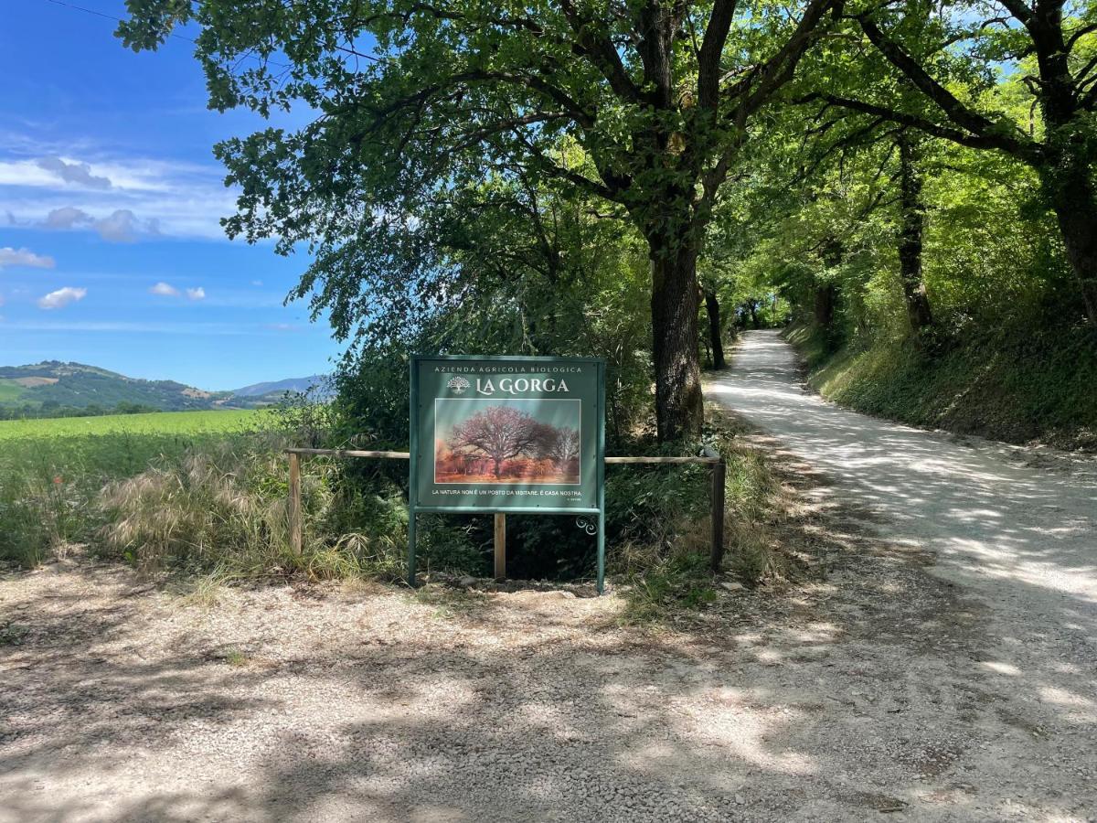 Casa La Gorga Villa Cagli Bagian luar foto